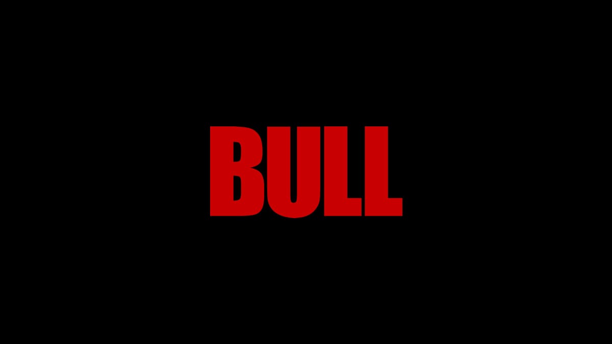 logo-serie-bull